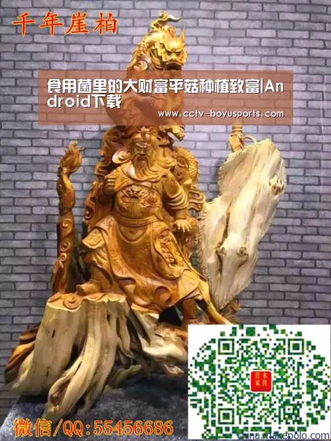 食用菌里的大财富平菇种植致富|Android下载(图1) APP下载