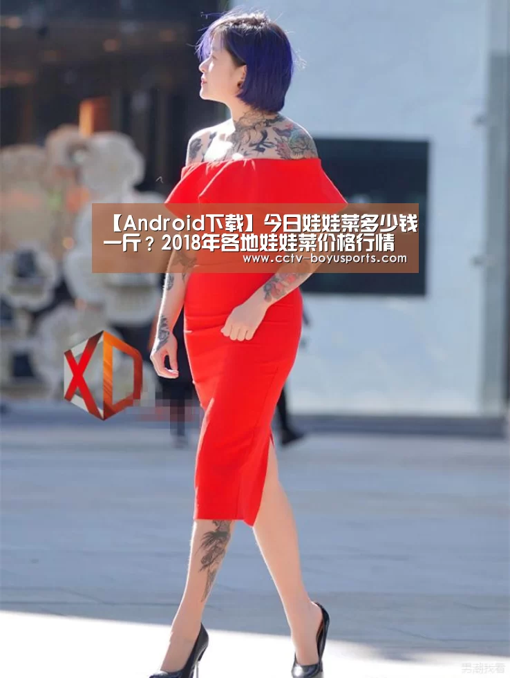 【Android下载】今日娃娃菜多少钱一斤?2018年各地娃娃菜价格行情预测(图2) 官方应用
