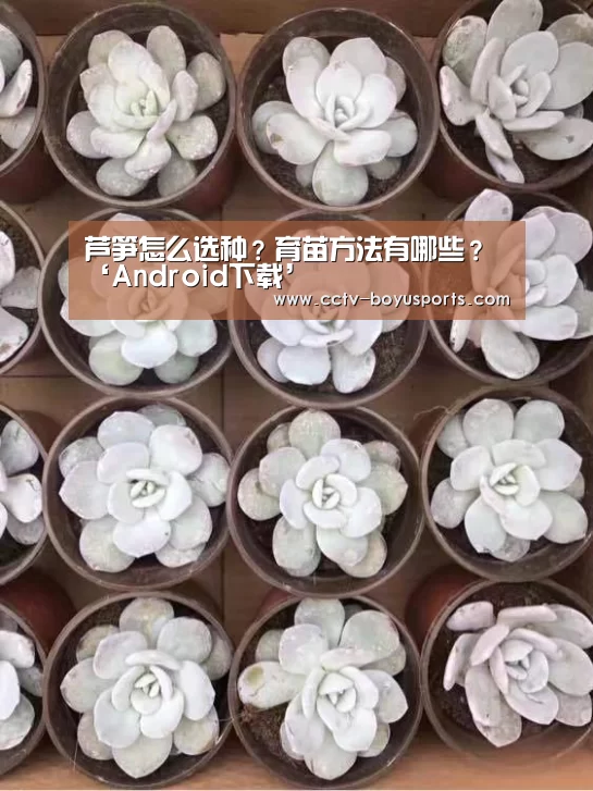 芦笋怎么选种?育苗方法有哪些?‘Android下载’(图2) 博鱼体育APP