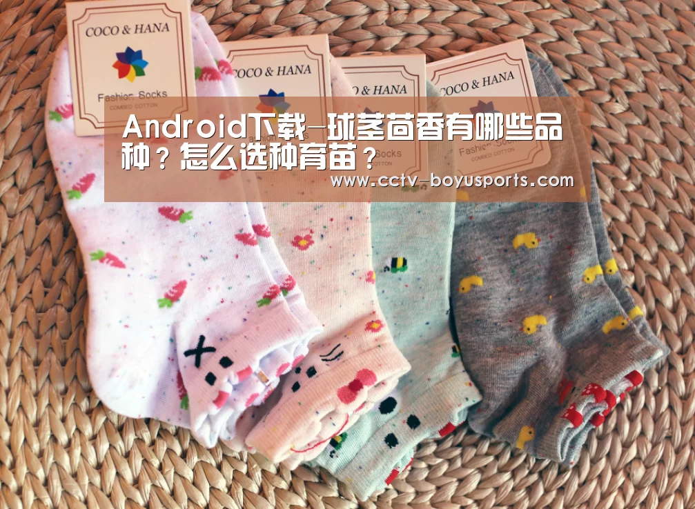 Android下载-球茎茴香有哪些品种?怎么选种育苗?(图1) Android下载