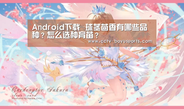 Android下载-球茎茴香有哪些品种?怎么选种育苗?(图2) 官方应用