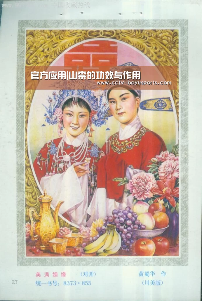 官方应用