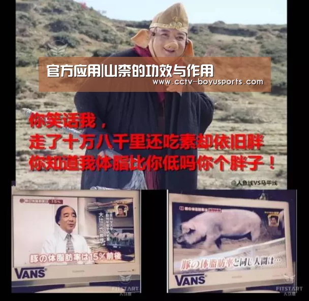 官方应用