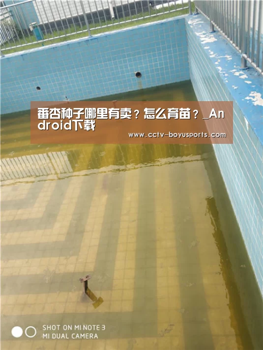 番杏种子哪里有卖?怎么育苗?_Android下载(图3) APP下载